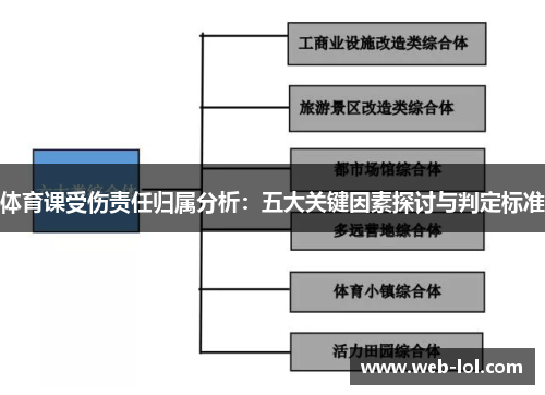 体育课受伤责任归属分析：五大关键因素探讨与判定标准