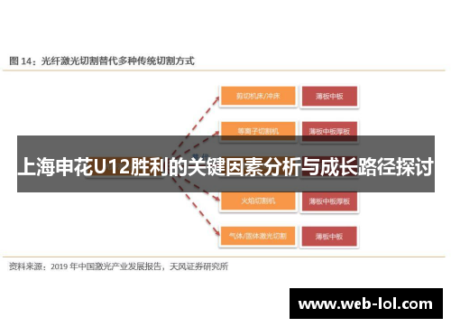 上海申花U12胜利的关键因素分析与成长路径探讨